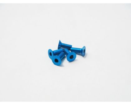 Hiro Seiko Senkkopfschrauben Alu 3x15mm Tamiya blau