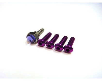 Hiro Seiko 4PX Swarovski Crystal Mounted Screws Purple SWAROVSKI Crystal HS-69919