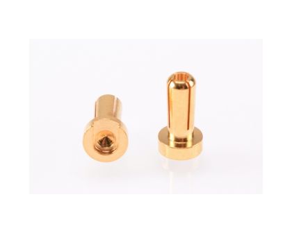 RUDDOG 4mm Gold Plug Male 12mm 2pcs