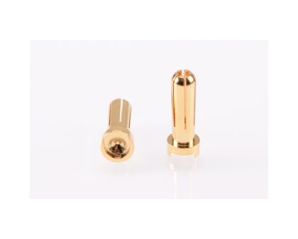 RUDDOG 5mm Gold Plug Male 2pcs